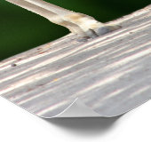 Giraffe Mama und Baby Poster (Ecke)