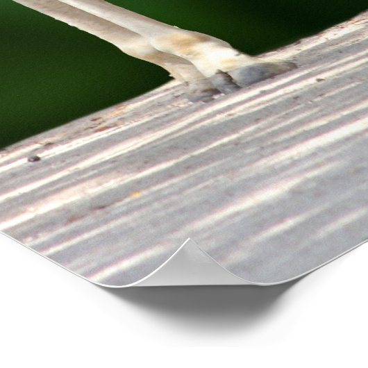 Giraffe Mama und Baby Poster (Ecke)