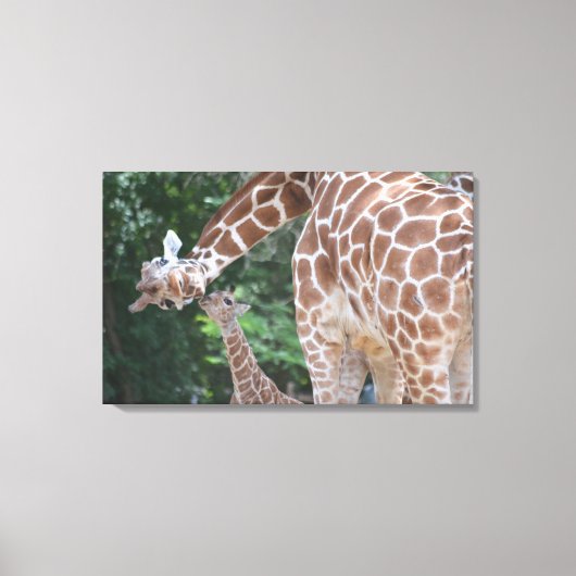 Giraffe Mama und Baby Poster Leinwanddruck (Vorderseite)