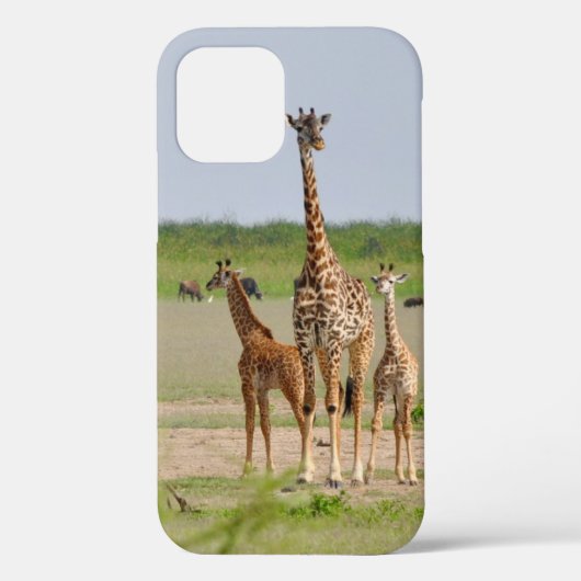 Giraffe Mama und Kinder Case-Mate iPhone Hülle (Rückseite)