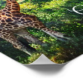 Giraffe Manor Poster (Ecke)