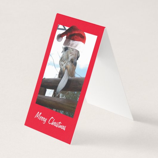 Giraffe mit einem Weihnachtshut (Vorderseite)