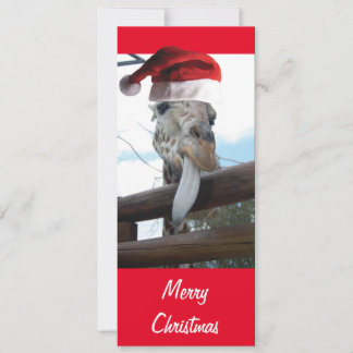 Giraffe mit einem Weihnachtshut für Weihnachten
