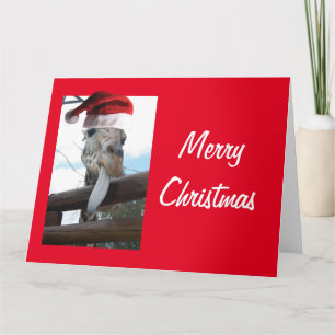 Giraffe mit einem Weihnachtshut für Weihnachten Karte