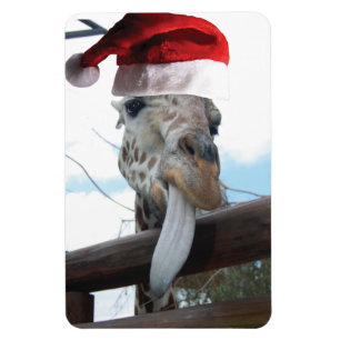 Giraffe mit einem Weihnachtshut Magnet