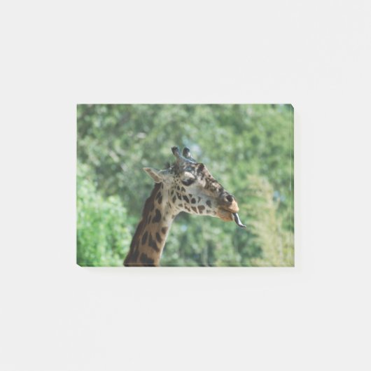 Giraffe mit einer langen Zunge Post-it Klebezettel (Vorderseite)