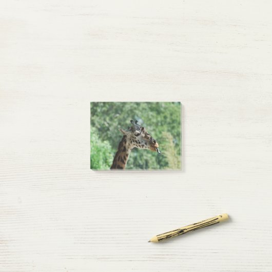 Giraffe mit einer langen Zunge Post-it Klebezettel (Auf Schreibtisch)