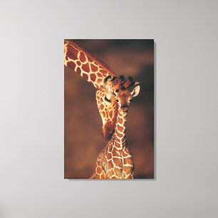 Giraffe mit Kalb (Giraffa camelopardalis) Leinwanddruck