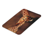 Giraffe mit Kalb (Giraffa camelopardalis) Magnet (Linke Seite)