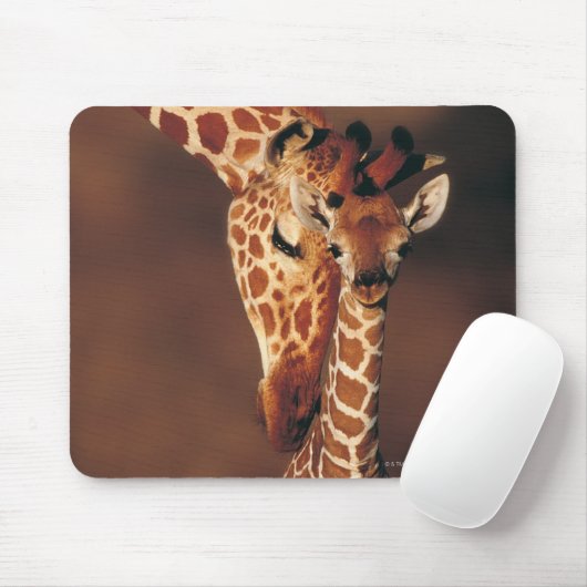 Giraffe mit Kalb (Giraffa camelopardalis) Mousepad (Mit Mouse)