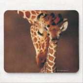 Giraffe mit Kalb (Giraffa camelopardalis) Mousepad (Vorne)