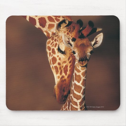Giraffe mit Kalb (Giraffa camelopardalis) Mousepad (Vorne)