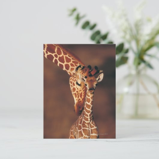 Giraffe mit Kalb (Giraffa camelopardalis) Postkarte (Stehend Vorderseite)