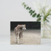 Giraffe mit Kind Postkarte (Stehend Vorderseite)