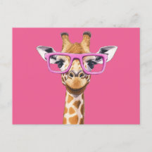 Giraffe mit rosa Brillen
