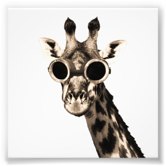 Giraffe mit Steampunk-Sonnenbrille-Brille Fotodruck (Vorne)