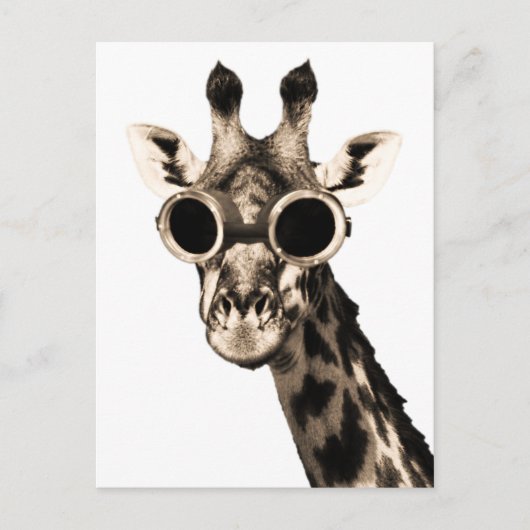 Giraffe mit Steampunk-Sonnenbrille-Brille Postkarte (Vorderseite)