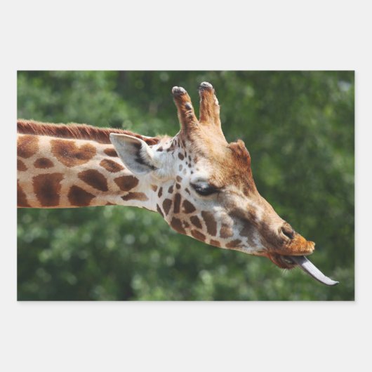 Giraffe mit Zungenauslauf Geschenkpapier Set (Vorderseite)