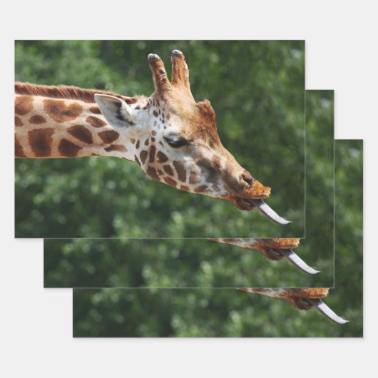 Giraffe mit Zungenauslauf Geschenkpapier Set (Set)