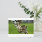 Giraffe Mother-Liebe Postkarte (Stehend Vorderseite)