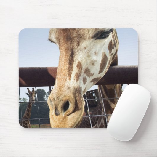 Giraffe Mousepad (Mit Mouse)