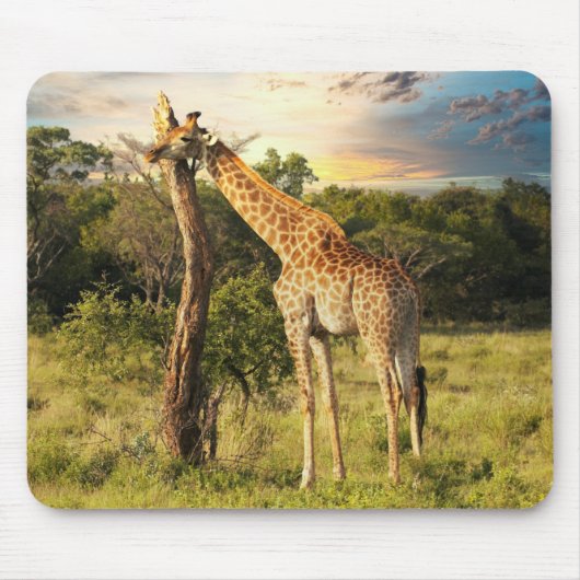 Giraffe Mousepad (Vorne)