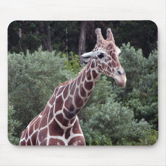 Giraffe Mousepad (Vorne)