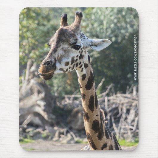 Giraffe Mousepad (Vorne)