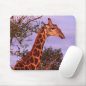 Giraffe Mousepad (Mit Mouse)
