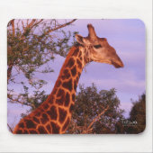 Giraffe Mousepad (Vorne)