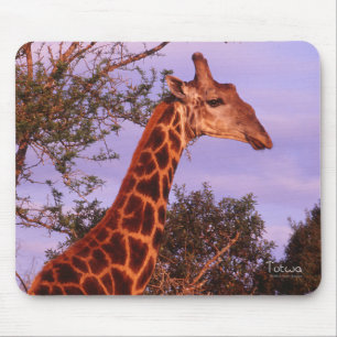 Giraffe Mousepad