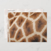 Giraffe-Muster-Geschenk für Wildtiere Postkarte (Vorne/Hinten)