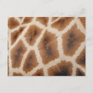 Giraffe-Muster-Geschenk für Wildtiere Postkarte