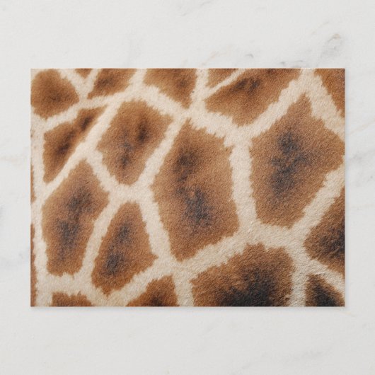 Giraffe-Muster-Geschenk für Wildtiere Postkarte (Vorderseite)