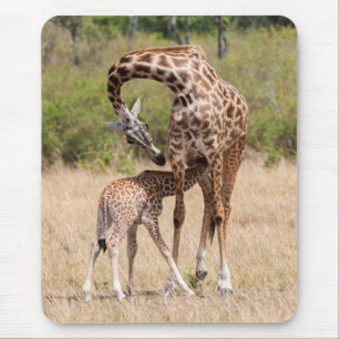 Giraffe Mutter und Baby in Kenia Mousepad