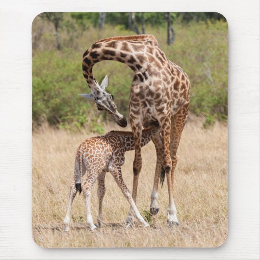 Giraffe Mutter und Baby in Kenia Mousepad (Vorne)