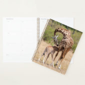 Giraffe Mutter und Baby in Kenia Planer (Anzeige)