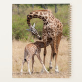 Giraffe Mutter und Baby in Kenia Planer (Rückseite)