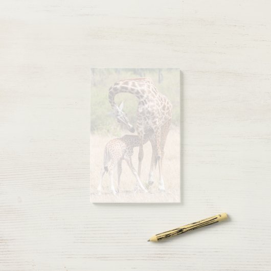 Giraffe Mutter und Baby in Kenia Post-it Klebezettel (Auf Schreibtisch)
