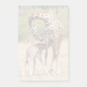 Giraffe Mutter und Baby in Kenia Post-it Klebezettel (Vorderseite)