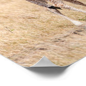 Giraffe Mutter und Baby in Kenia Poster (Ecke)