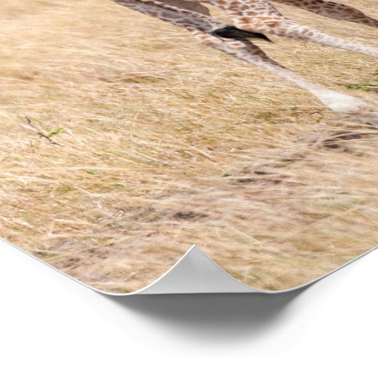 Giraffe Mutter und Baby in Kenia Poster (Ecke)