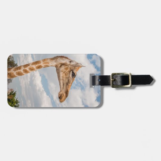 Giraffe Nah Gepäckanhänger (Vorderseite horizontal)