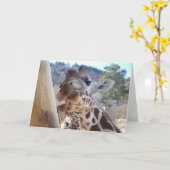 Giraffe Nah Karte (Gelbe Blume)