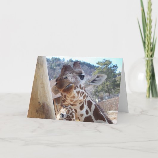 Giraffe Nah Karte (Vorderseite)