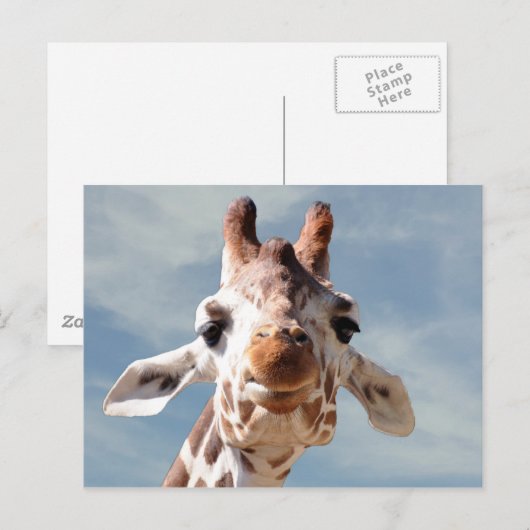 Giraffe Nah mit Blue Sky Postkarte (Vorne/Hinten)