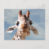 Giraffe Nah mit Blue Sky Postkarte (Vorderseite)
