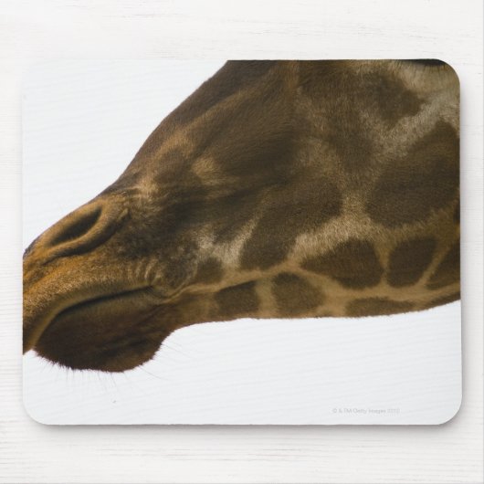 Giraffe, nah mousepad (Vorne)