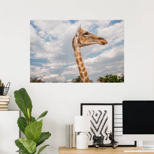 Giraffe Nah Poster (Heimbüro)