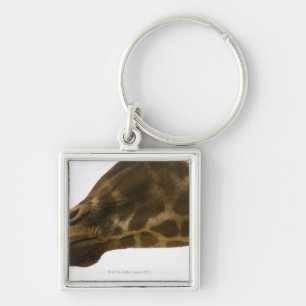 Giraffe, nahes hohes schlüsselanhänger